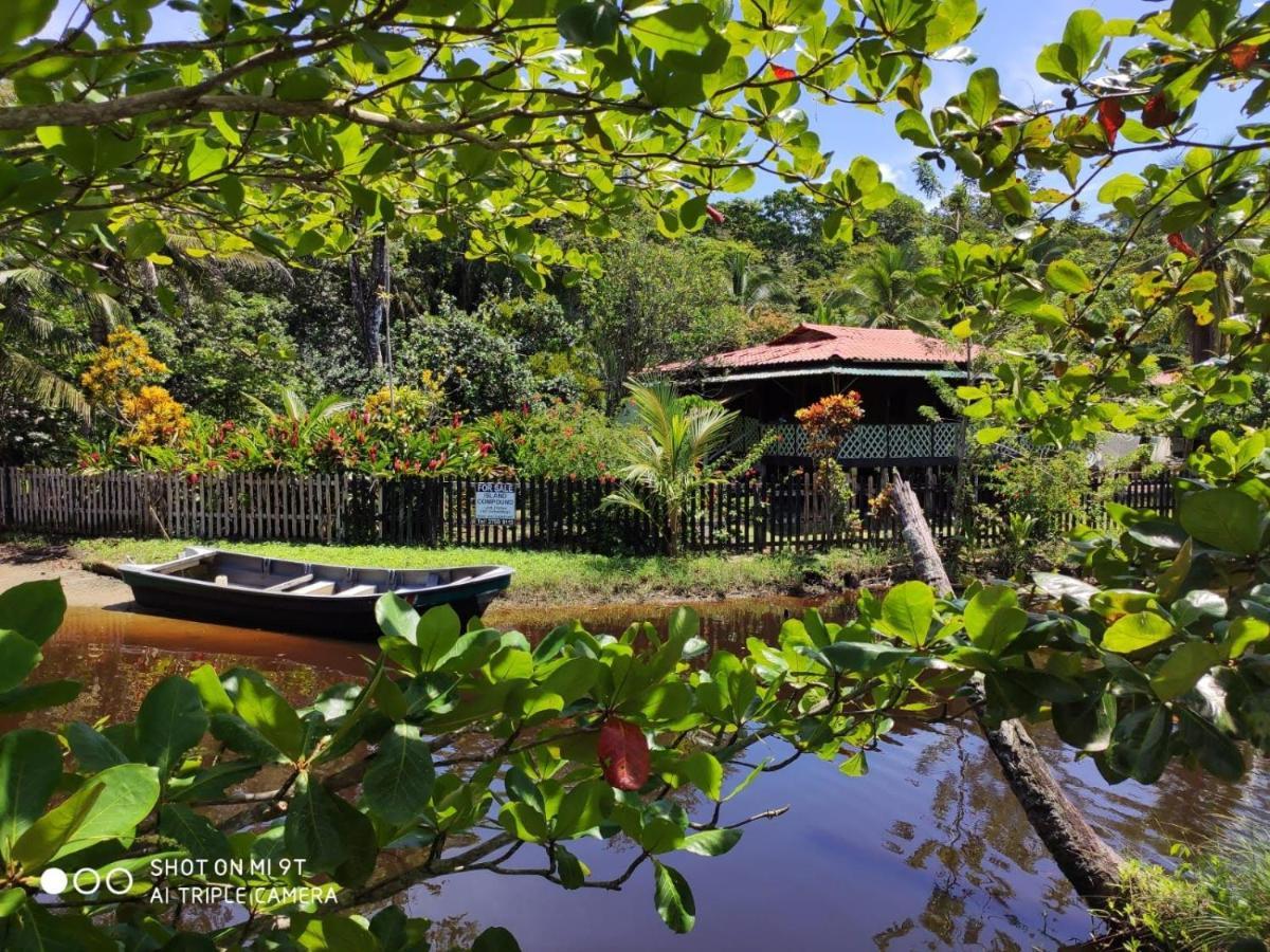 Madre Selva Hostel Puerto Viejo de Talamanca Dış mekan fotoğraf