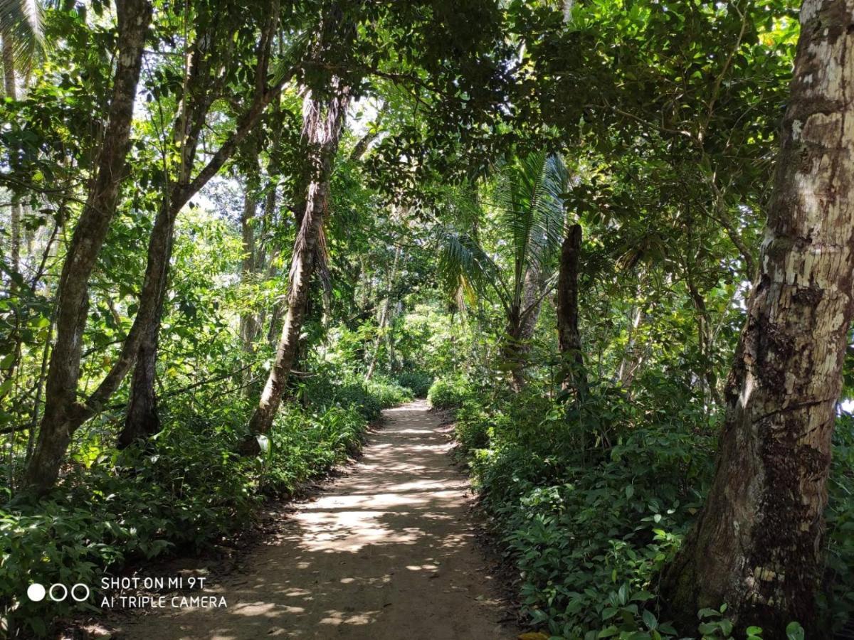 Madre Selva Hostel Puerto Viejo de Talamanca Dış mekan fotoğraf