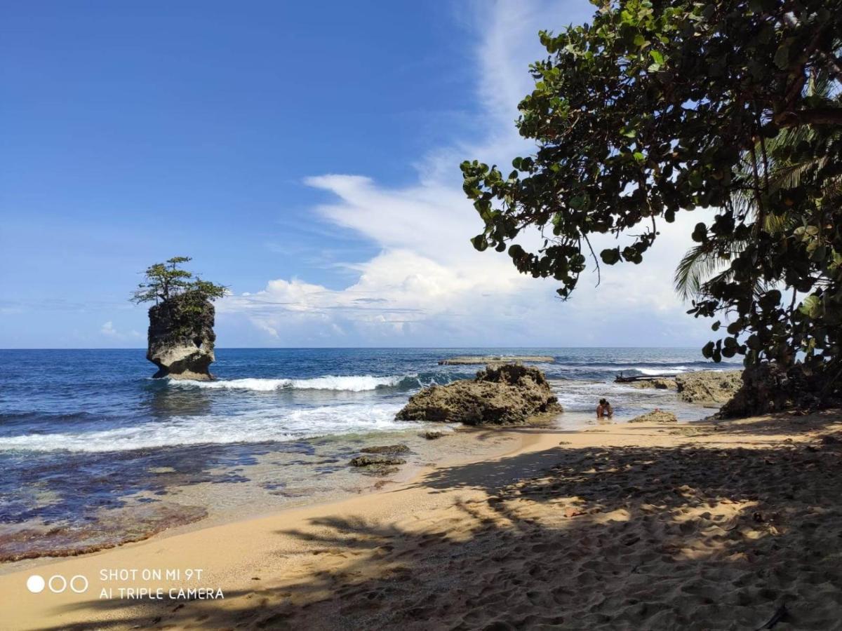 Madre Selva Hostel Puerto Viejo de Talamanca Dış mekan fotoğraf