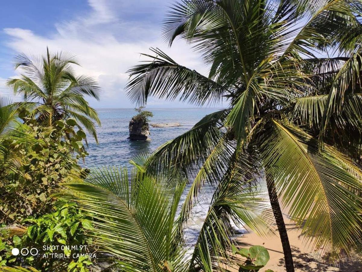 Madre Selva Hostel Puerto Viejo de Talamanca Dış mekan fotoğraf