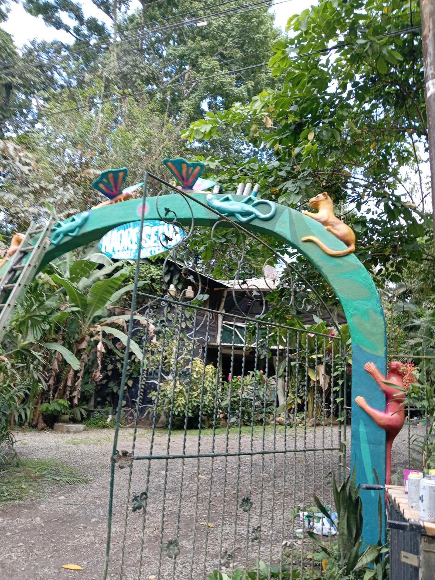 Madre Selva Hostel Puerto Viejo de Talamanca Dış mekan fotoğraf