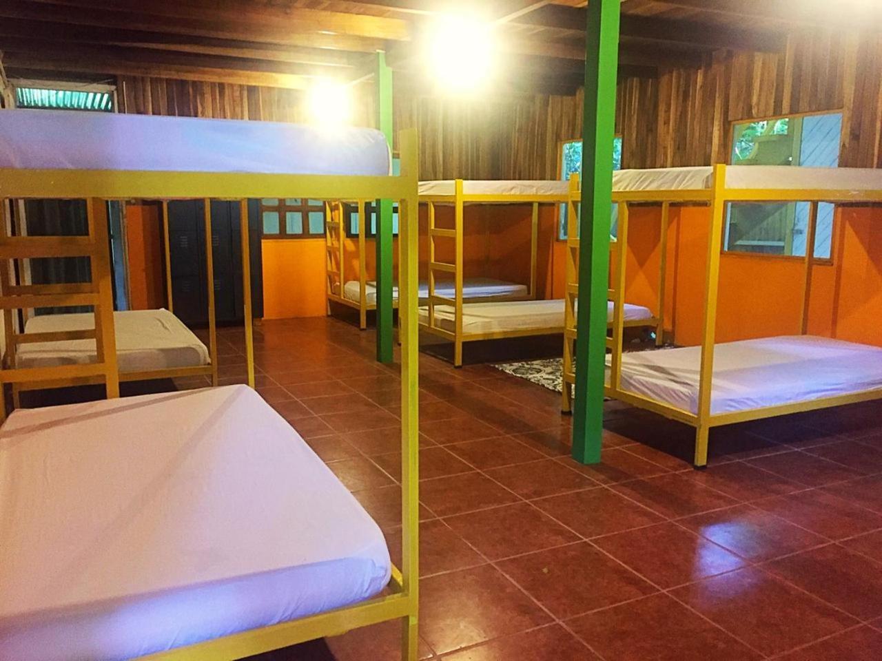 Madre Selva Hostel Puerto Viejo de Talamanca Dış mekan fotoğraf