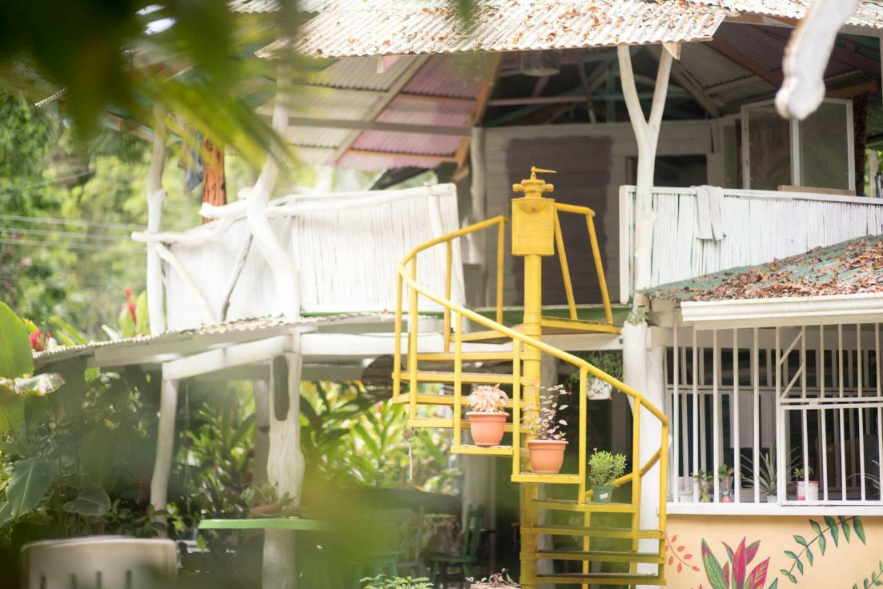 Madre Selva Hostel Puerto Viejo de Talamanca Dış mekan fotoğraf