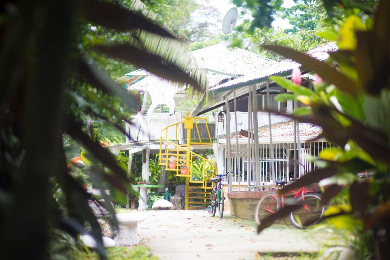 Madre Selva Hostel Puerto Viejo de Talamanca Dış mekan fotoğraf