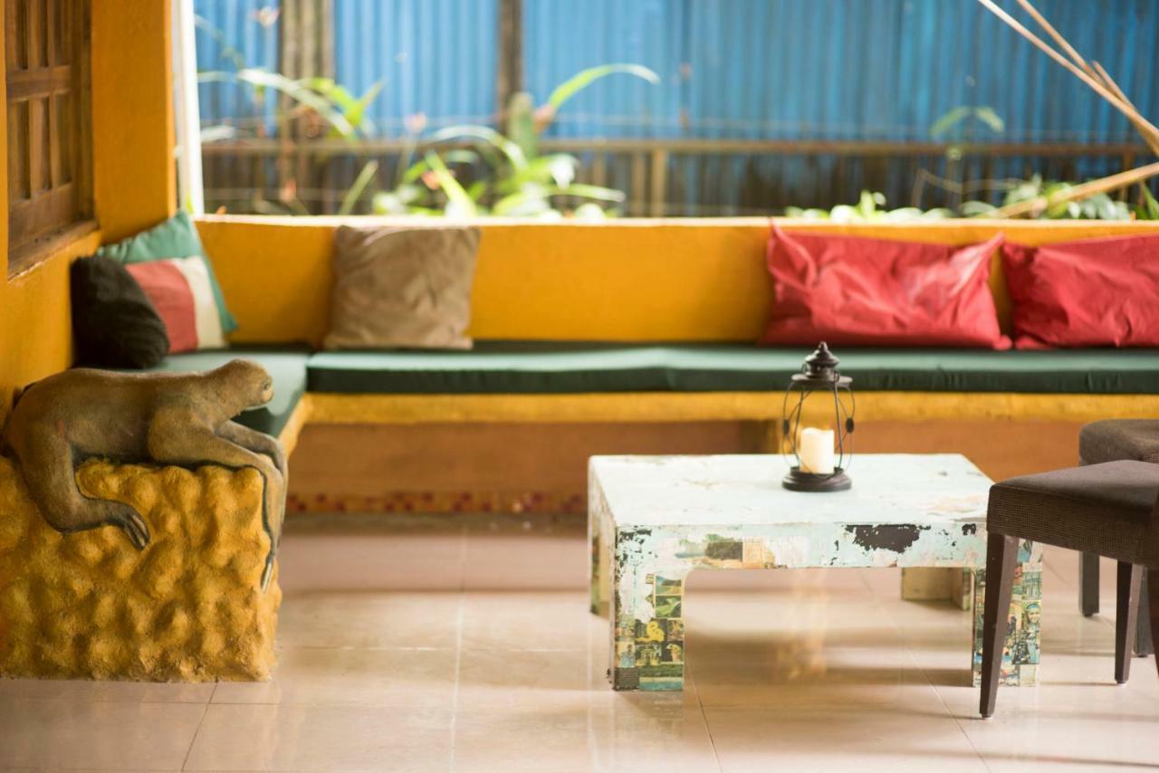 Madre Selva Hostel Puerto Viejo de Talamanca Dış mekan fotoğraf