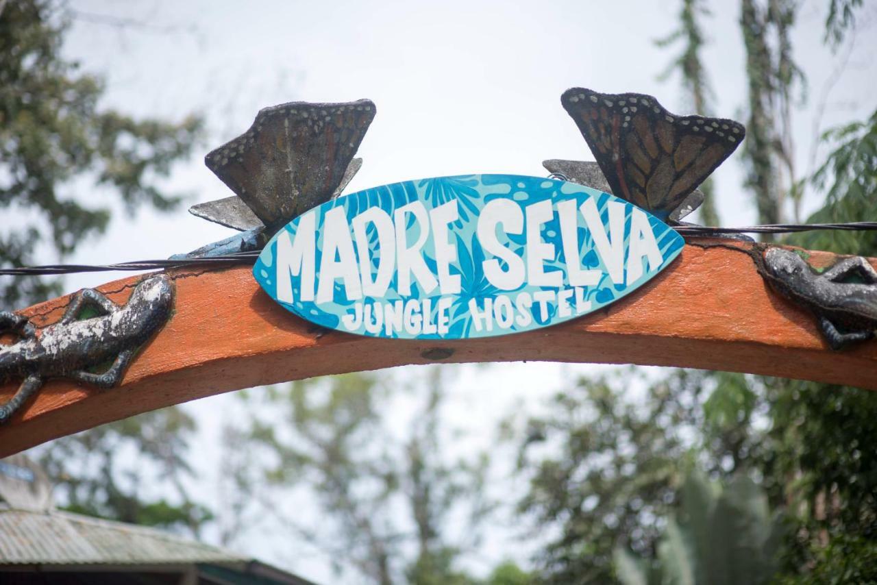 Madre Selva Hostel Puerto Viejo de Talamanca Dış mekan fotoğraf