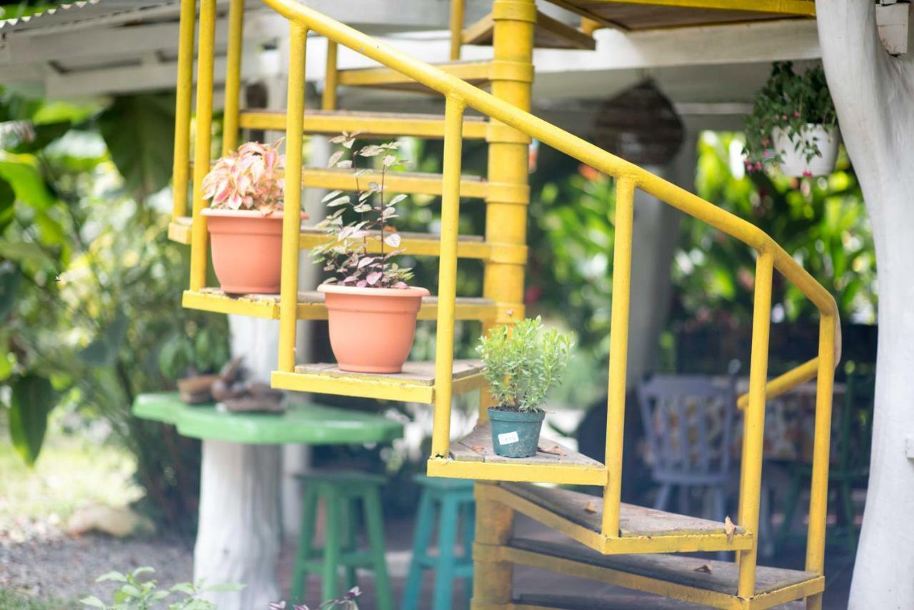 Madre Selva Hostel Puerto Viejo de Talamanca Dış mekan fotoğraf
