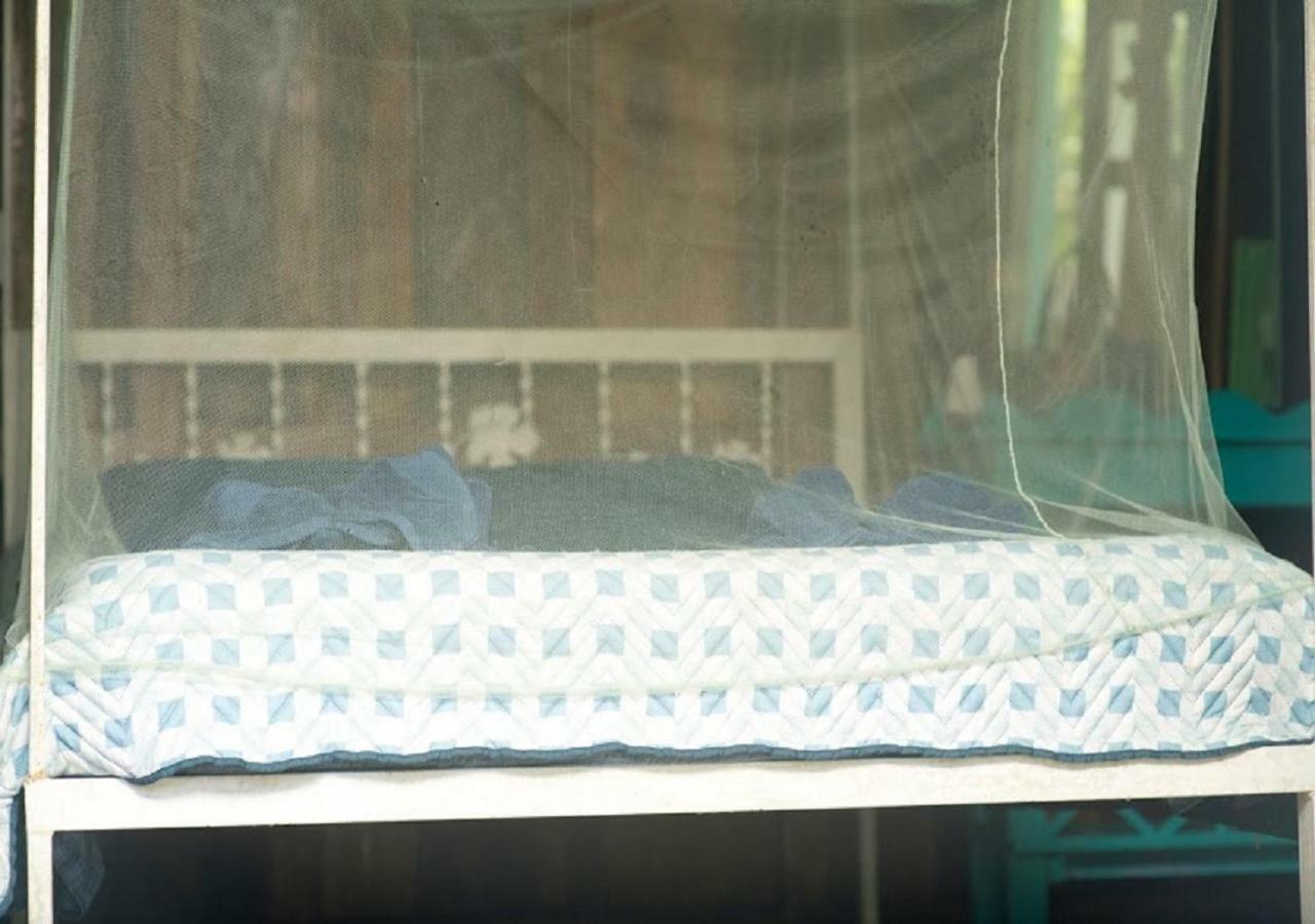 Madre Selva Hostel Puerto Viejo de Talamanca Dış mekan fotoğraf