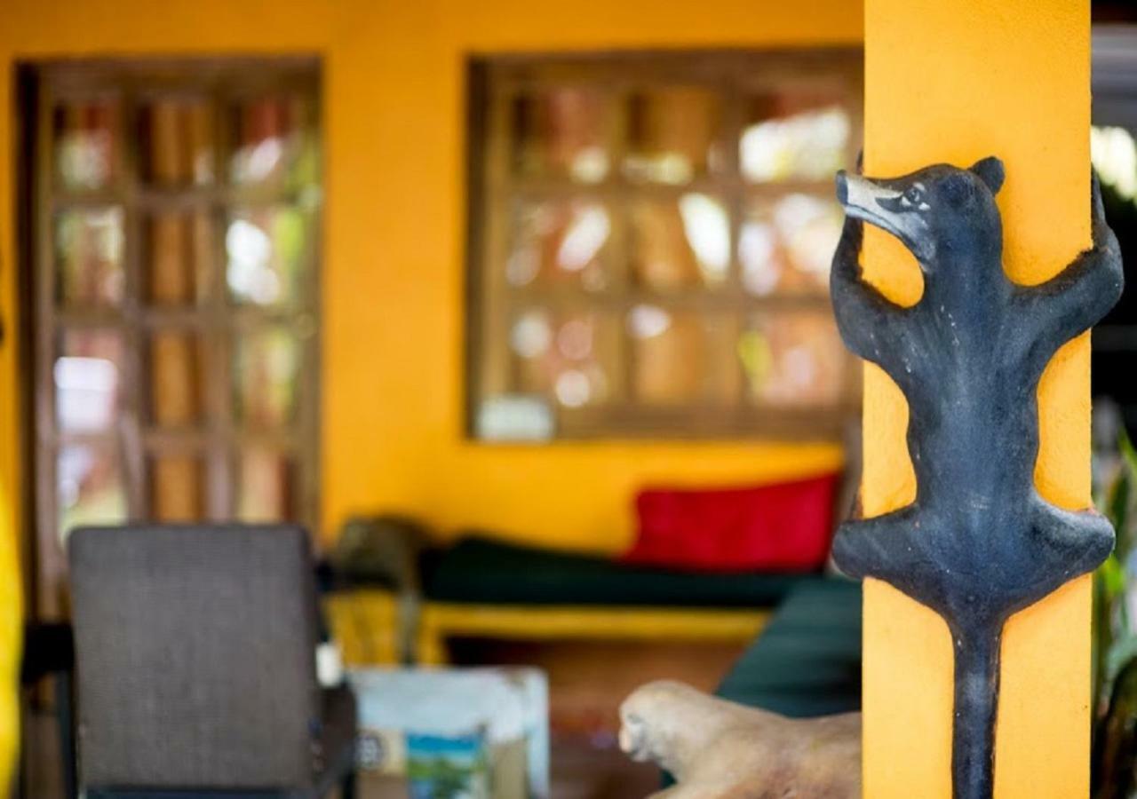 Madre Selva Hostel Puerto Viejo de Talamanca Dış mekan fotoğraf